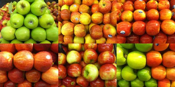 Indignity Vol. 2, No. 8: How do you like these? 