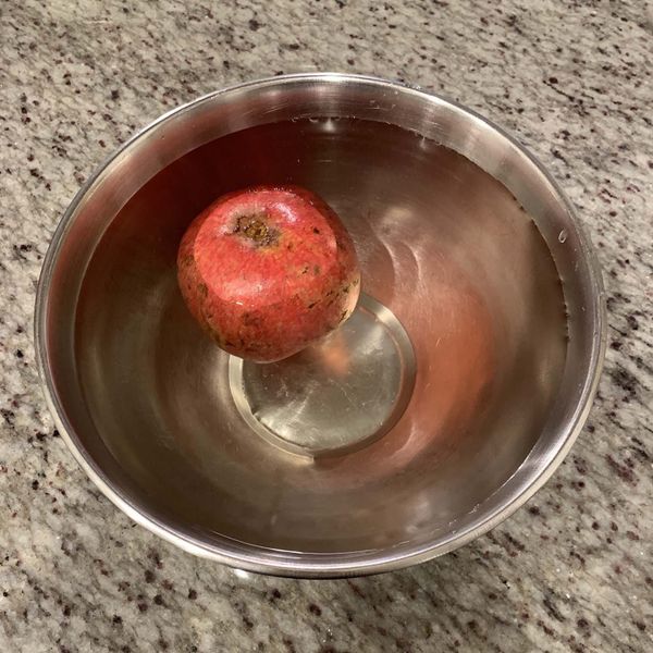 Indignity Vol. 2, No. 97: The unforgiving fruit of procrastination.