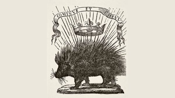 Wordle Postgame Report, July 27