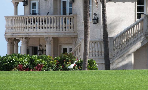 Indignity Vol. 2, No. 66: What did the FBI know that pundits didn't?