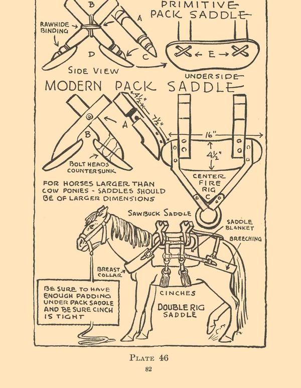 Wordle Postgame Report, July 26