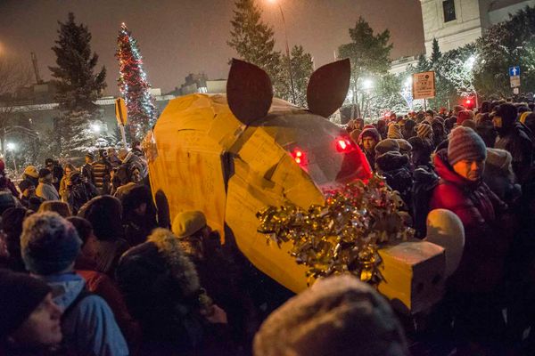 Wordle Postgame Report, November 2