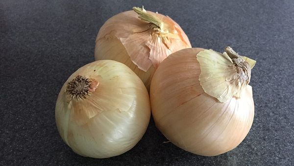 MR. WRONG: Hold the Onions