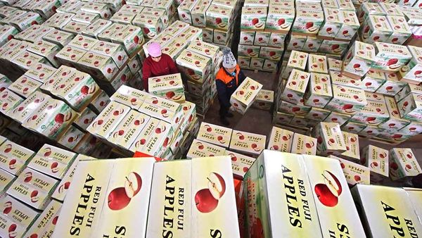 Wordle Postgame Report, weekend CATCH up, October 27–30