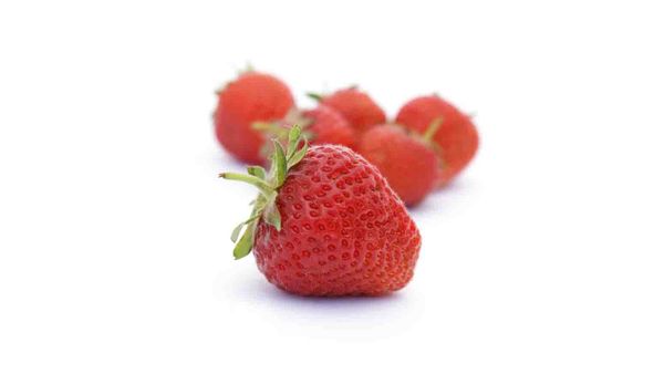 Indignity Vol. 2, No. 44: Must be high or low.