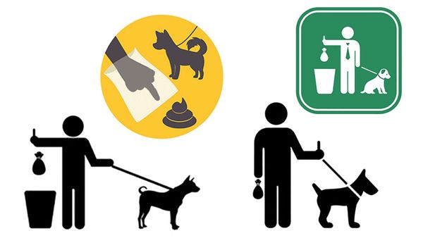 Hmm Weekly for December 29, 2020