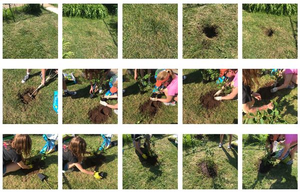 Hmm Weekly for June 15, 2021