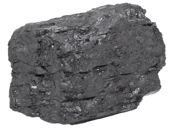 Indignity Vol. 2, No. 71: Fish are rotting; cotton prices are high.