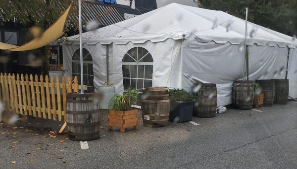 Hmm Weekly for November 24, 2020