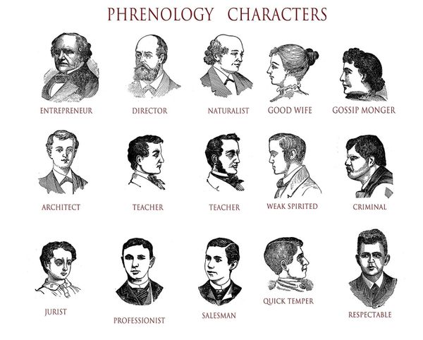 Indignity Vol. 1, No. 20: The nice kind of calipers.