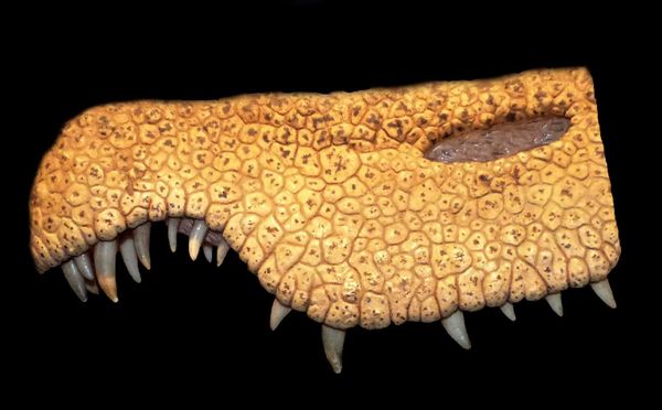 Wordle Postgame Report, August 17