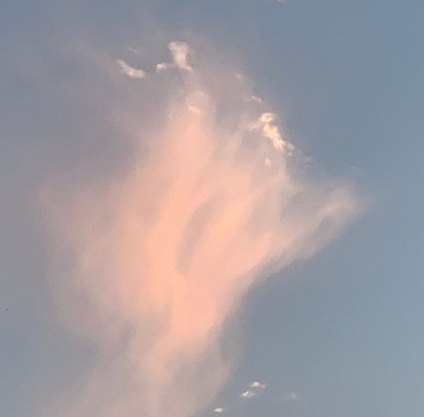 Indignity Vol. 1 No. 5: The dry kind of rain.