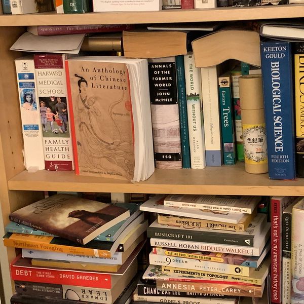 Hmm Weekly for February 16, 2021