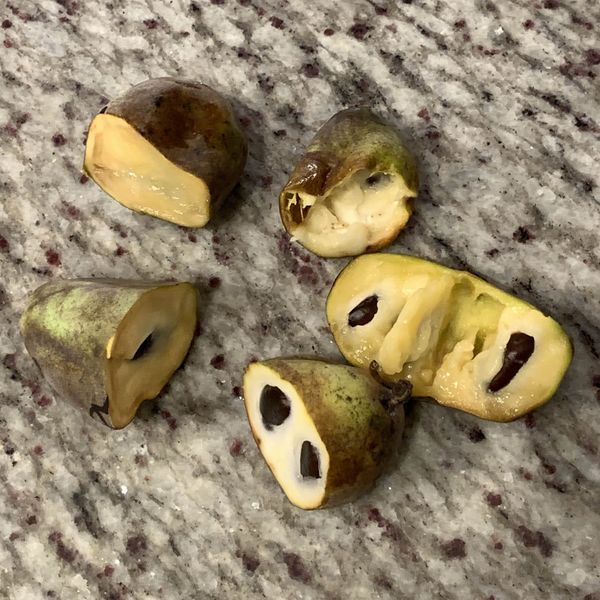 Indignity Vol. 1, No. 38: Way down yonder.