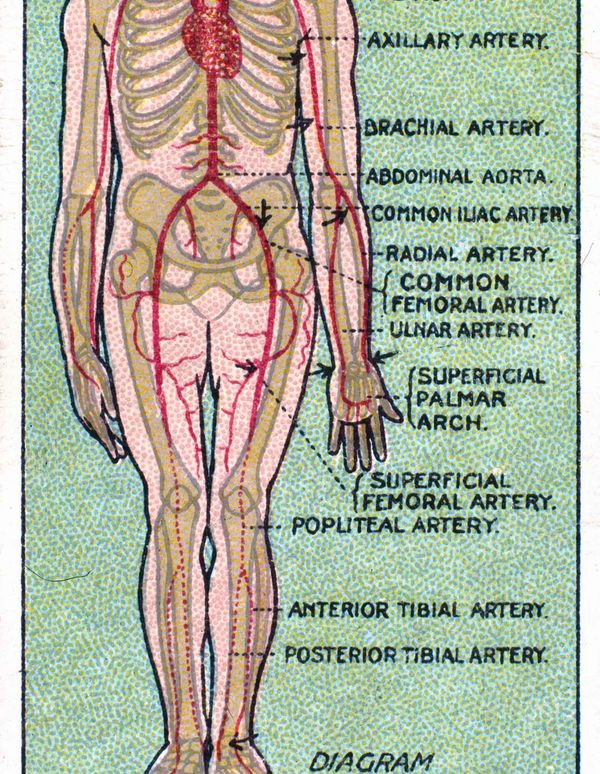 Wordle Postgame Report, Holiday Weekend CATCH-Up, December 23–26