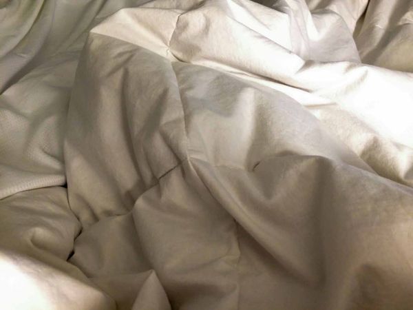 Indignity Vol. 2, No. 67: Who won the Rushdie Stabbing?