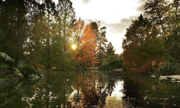 Wordle Postgame Report, August 30
