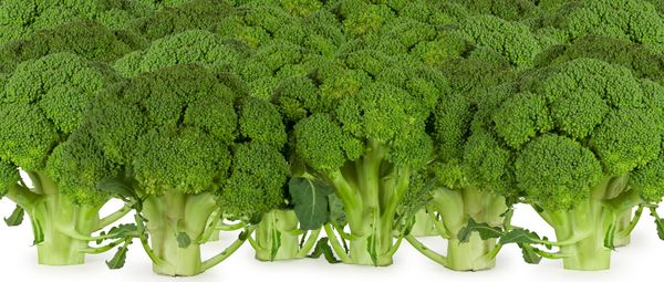 Hmm Weekly for January 12, 2021