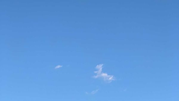 Indignity Vol. 2, No. 93: Catching the wind.