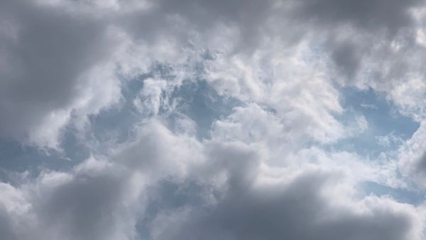 SUMMER FRIDAYS DEP'T.