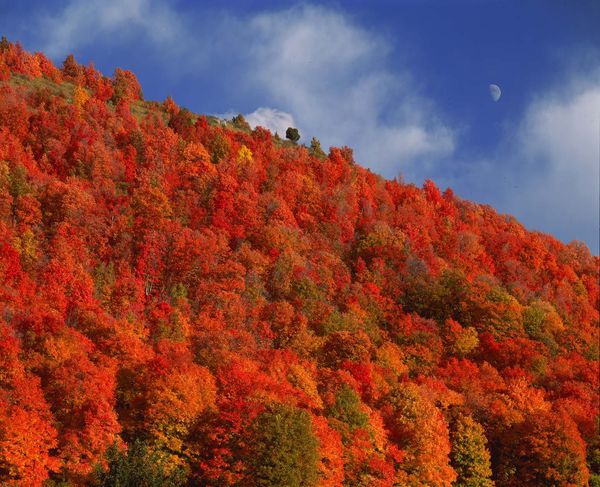 Wordle Postgame Report CATCH-Up, February 17–19, 2023