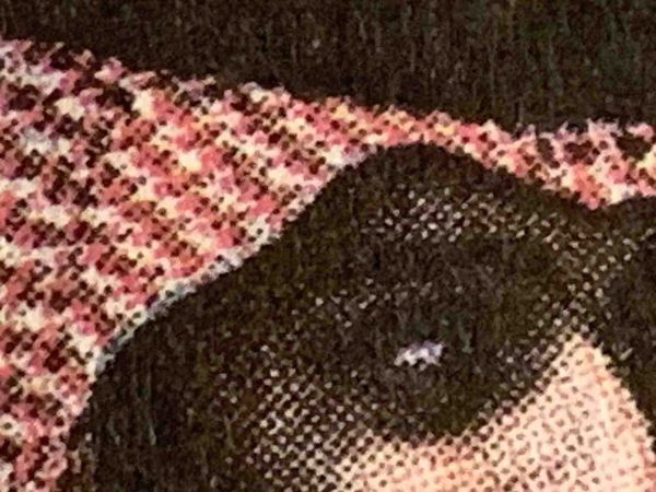 Indignity Morning Podcast No. 27: Crushing the economy and putting workers back in their place.