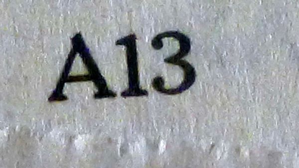 Indignity Vol. 3, No. 6: Why Is the New York Times So Obsessed With Trans Kids?