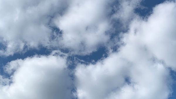 It's Summer Wednesday!