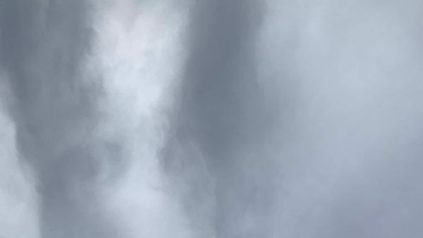 INDIGNITY VOL. 3, NO. 28: Weather and sandwiches.