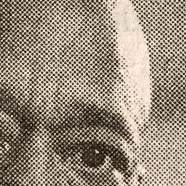 Indignity Morning Podcast No. 24: What four reporters can tell you.