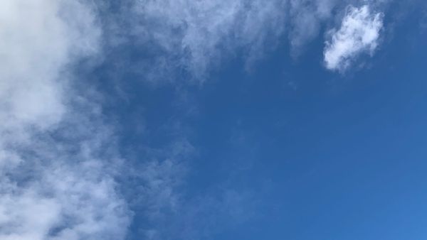 The Return of WEATHER REVIEWS