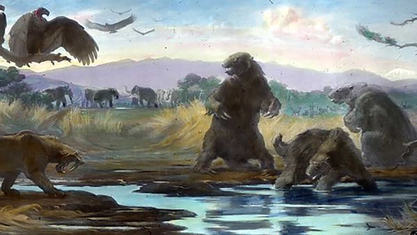 Painted into a corner.