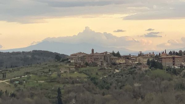 INDIGNITY VOL. 3, NO 56: Travel broadens horizons.