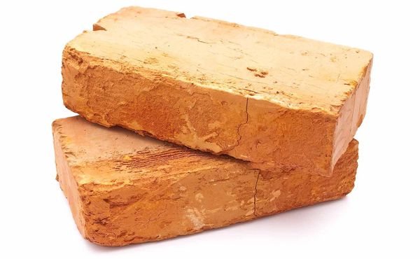 INDIGNITY VOL. 3, NO 59: Debtors prison.