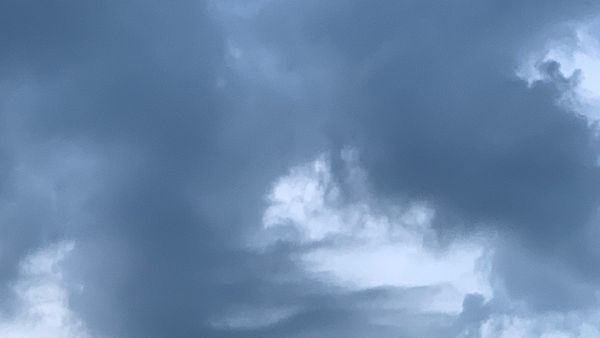 INDIGNITY VOL. 3, NO. 105: Summer Tuesday?