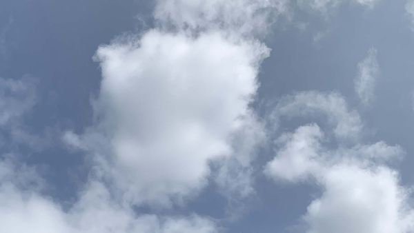 INDIGNITY VOL. 3, NO. 99