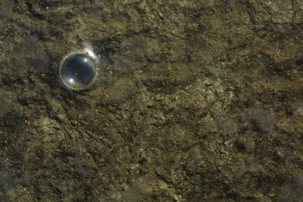 Wordle Postgame Report CATCH-Up, January 19–22, 2023