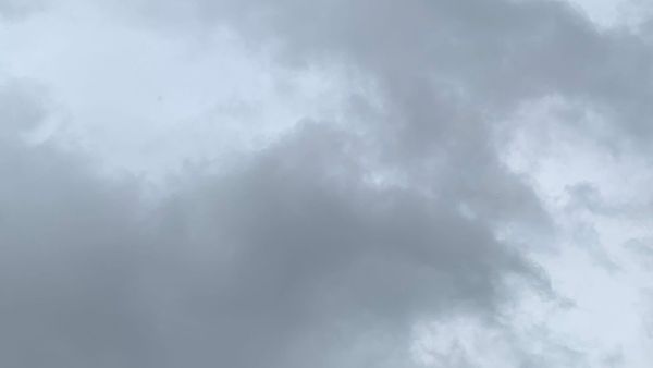 SUMMER FRIDAYS DEP'T.