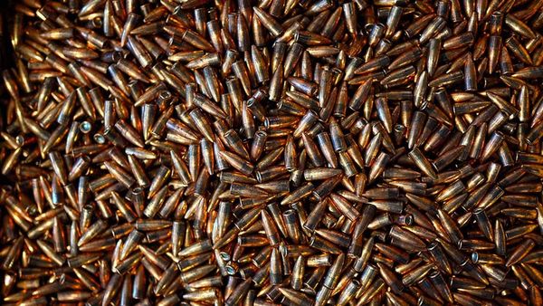 Some days in the life of the AR-15