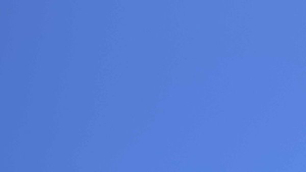 INDIGNITY VOL. 3, NO. 50: The sky and sandwiches.