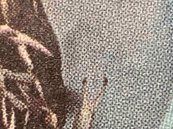 Indignity Morning Podcast No. 152: Wackos.