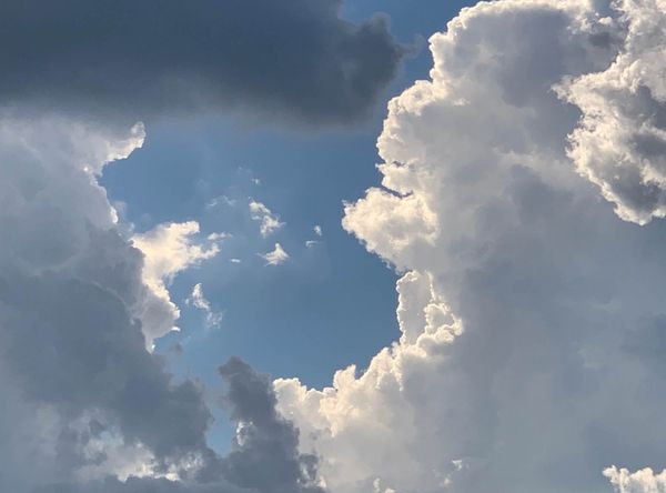 Invite your friends to read INDIGNITY