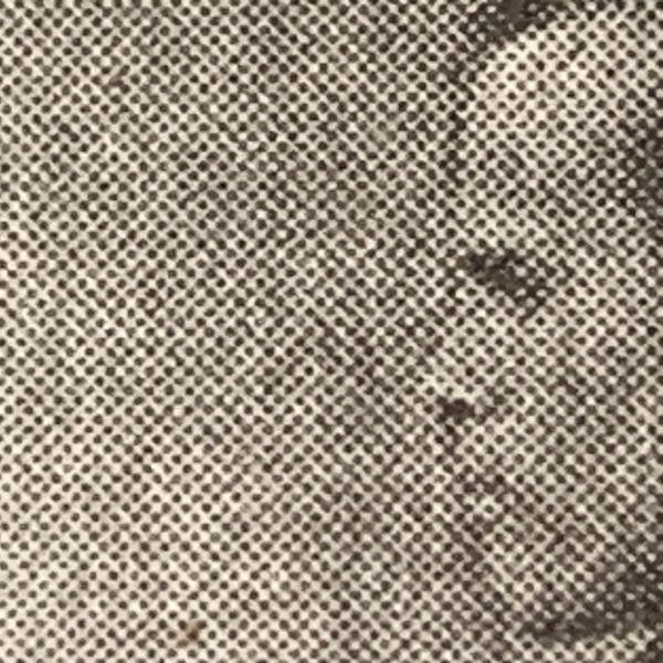 Indignity Morning Podcast No. 54: The power of celebrity.