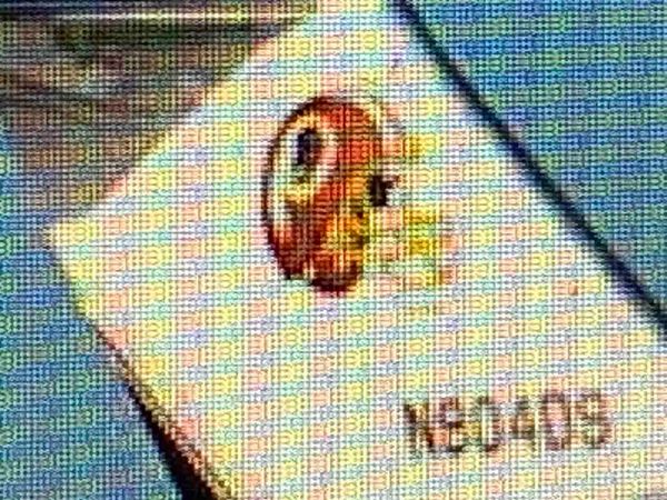 Indignity Morning Podcast No. 19: An advertising fee.