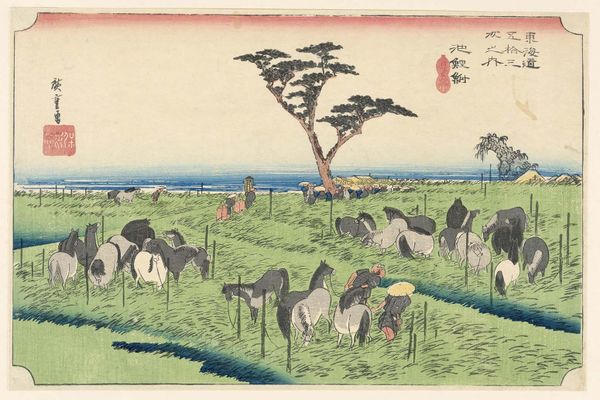 Wordle Postgame Report, February 7, 2023