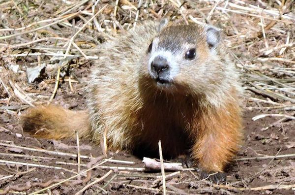 Indignity Vol. 3, No. 8: Wrong Place, Wrong Time