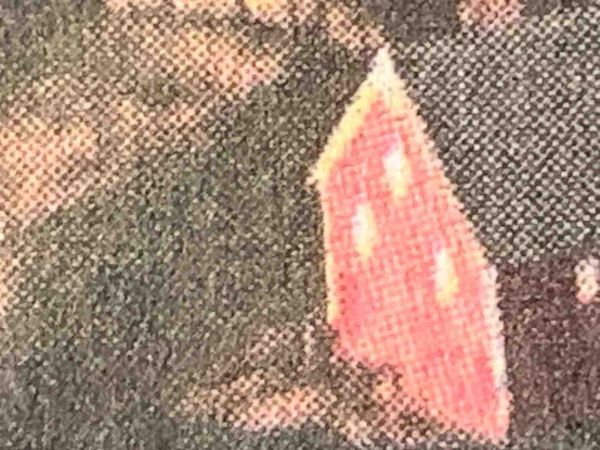 Indignity Morning Podcast No. 36: The same source echoing back and forth.