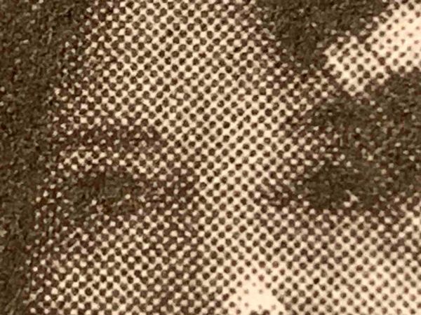 Indignity Morning Podcast No. 18: A symptom of an illness in the American psyche.