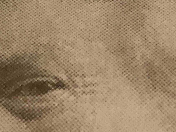 Indignity Morning Podcast No. 108: The story that belongs on the front page in 2023.