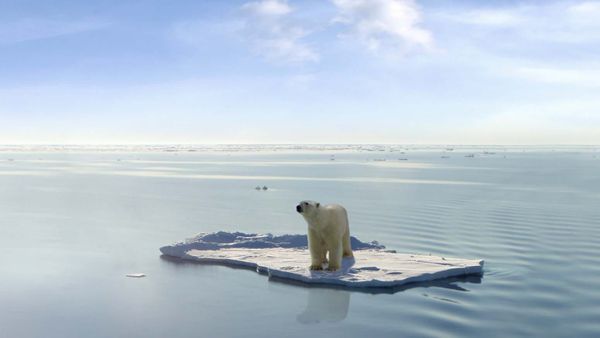 INDIGNITY VOL. 3, NO. 88: What are you worried about?